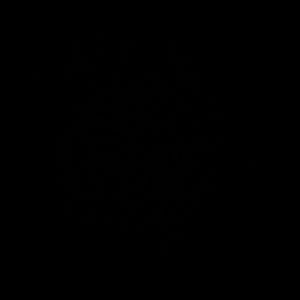 Meet your Posher, Paige